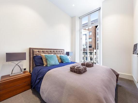 Harley Street Luxury Snug Daire Londra Dış mekan fotoğraf