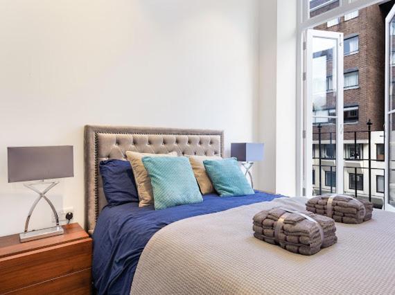 Harley Street Luxury Snug Daire Londra Dış mekan fotoğraf