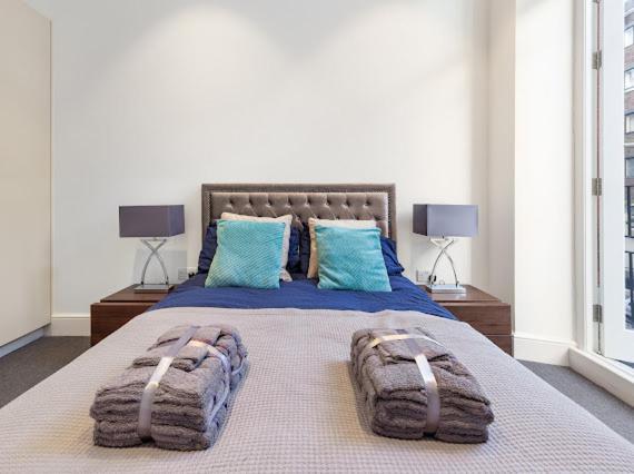 Harley Street Luxury Snug Daire Londra Dış mekan fotoğraf