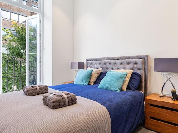 Harley Street Luxury Snug Daire Londra Dış mekan fotoğraf